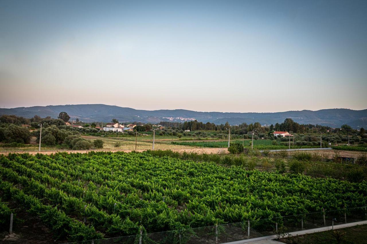 Quinta Das Oliveiras Turismo Rural Fundão Εξωτερικό φωτογραφία