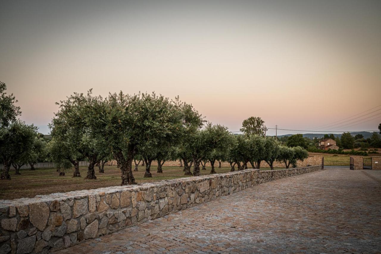 Quinta Das Oliveiras Turismo Rural Fundão Εξωτερικό φωτογραφία
