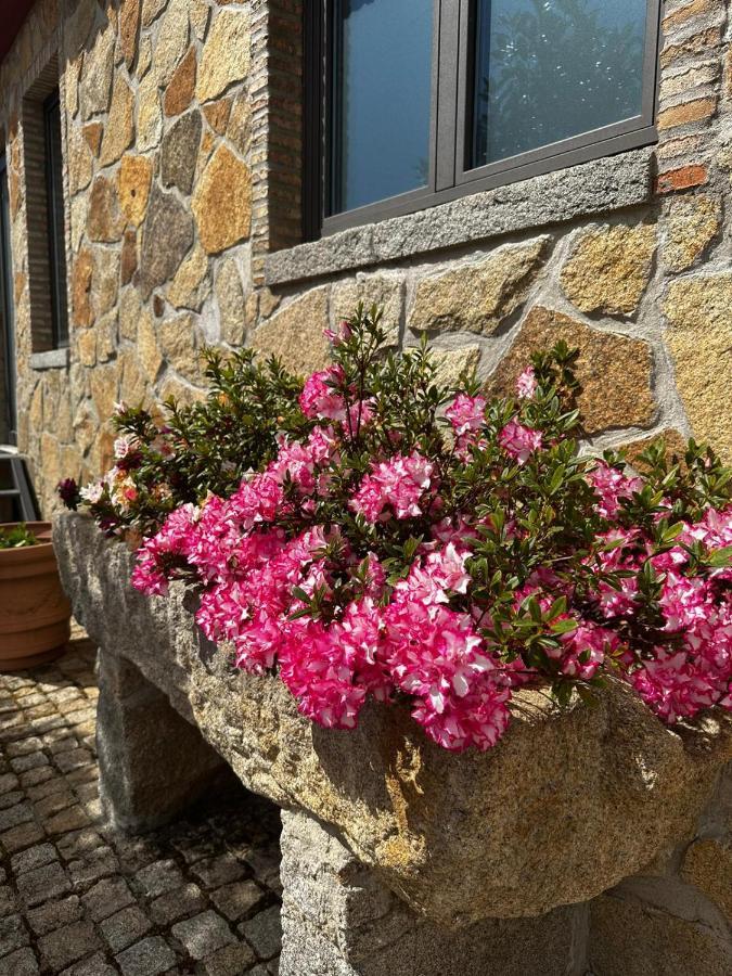 Quinta Das Oliveiras Turismo Rural Fundão Εξωτερικό φωτογραφία